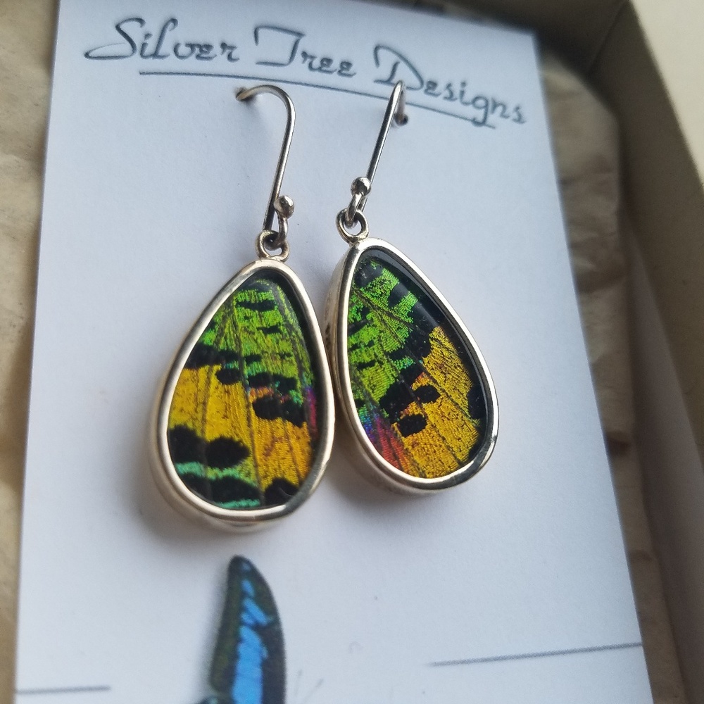 NWOT Butterfly Wing Earrings